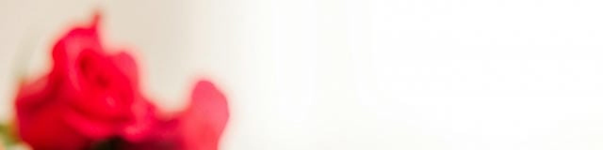 あなたのライフスタイルを彩るブランド品選びの楽しみ方